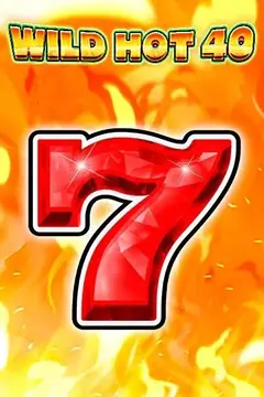 Copertina del gioco Wild Hot 40